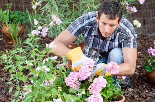 Bank transfer option for Upminster gardening services payments