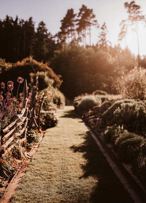 A symmetrical garden pathway paved with light-colored gravel, flanked by neatly trimmed green lawns and rows of slender, tall cypress trees. On either side of the pathway, ornamental flower beds with 