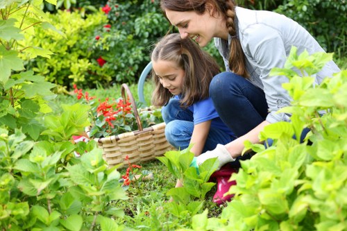 Professional garden maintenance services in Upminster