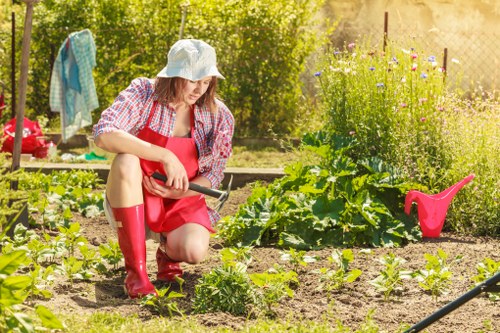 A woman wearing a sun hat, red apron, red rain boots, and casual clothing is kneeling in a well-maintained garden, carefully tending to young vegetable plants in the soil. The garden features neatly arranged rows of leafy greens and other vegetable plants, with some larger plants at the back. The ground consists of healthy, dark soil interspersed with small stones, and the area is bordered by a wooden fence with flowering bushes and tall plants in the background. To the right, there is a red watering can placed on the ground, and on the left, a colourful towel or cloth is hanging on a nearby fence post. The scene is brightly lit by natural sunlight, indicating a clear day with warm weather, creating a lively and productive outdoor space typical of a residential garden in Upminster, suitable for professional gardening and outdoor maintenance services from Gardening Services Upminster.